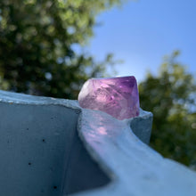 Amethyst Atlantis Bench