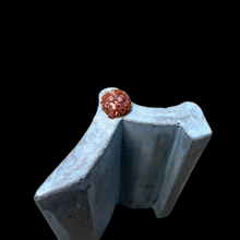 Aragonite Atlantis Bench