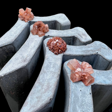 Aragonite Atlantis Bench