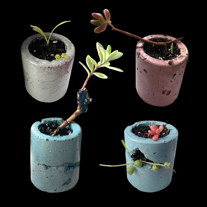 Mini planter (4 piece)