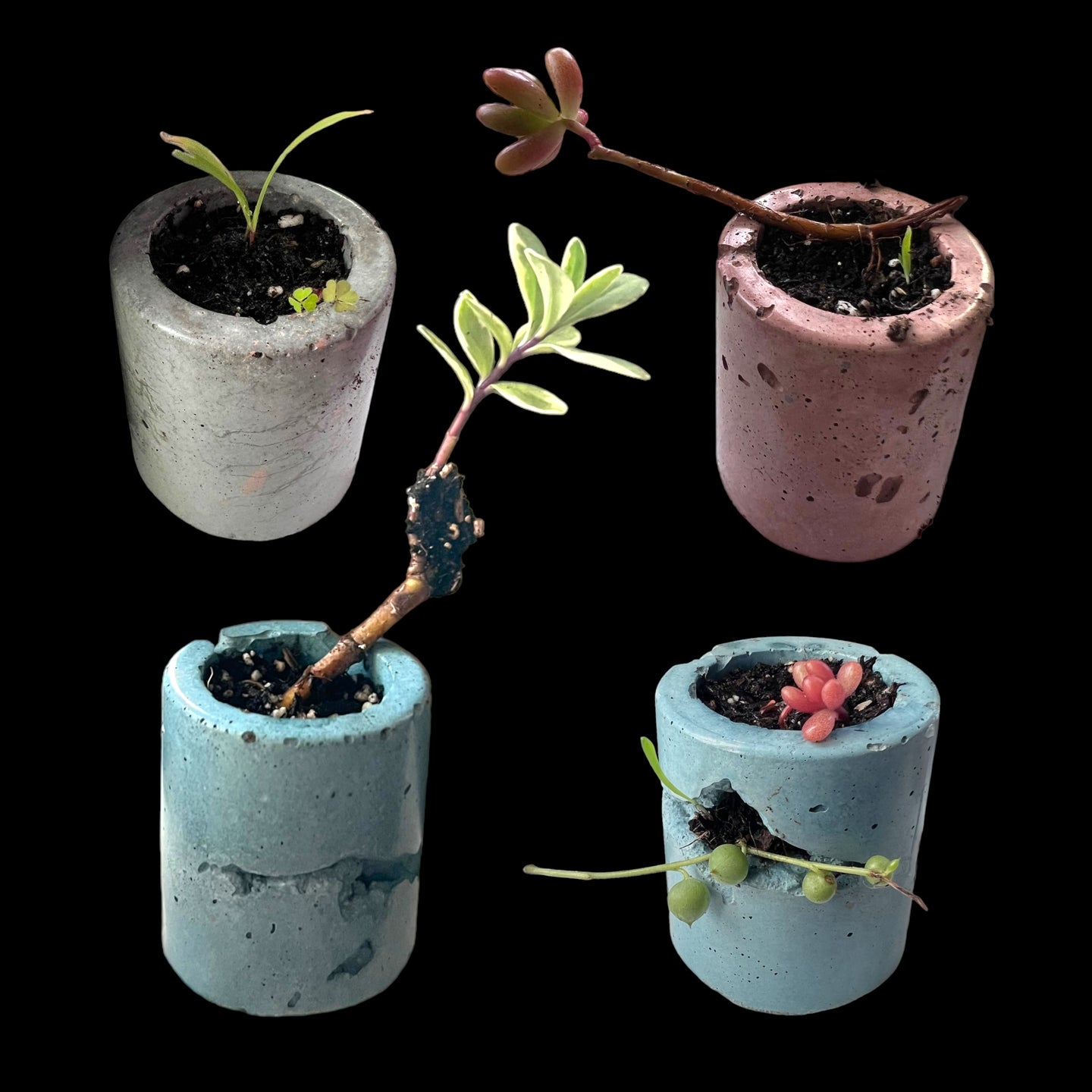 Mini planter (4 piece)