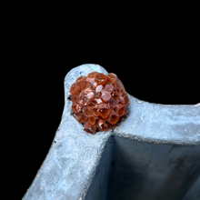Aragonite Atlantis Bench